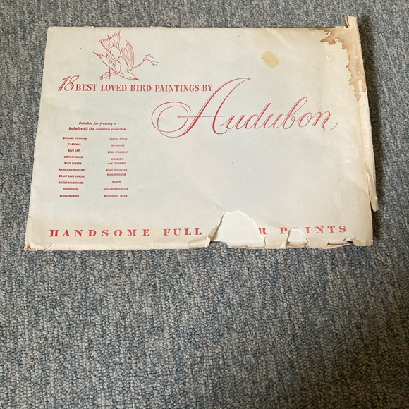 Other - Bundle of 18 bird paintings